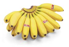 Baby bananas