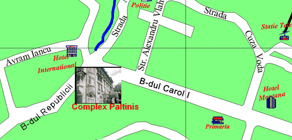 Карта расположения отеля «PALTINIS»